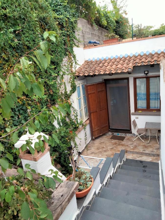 Apartmán Casa Rustica Dorgali Exteriér fotografie