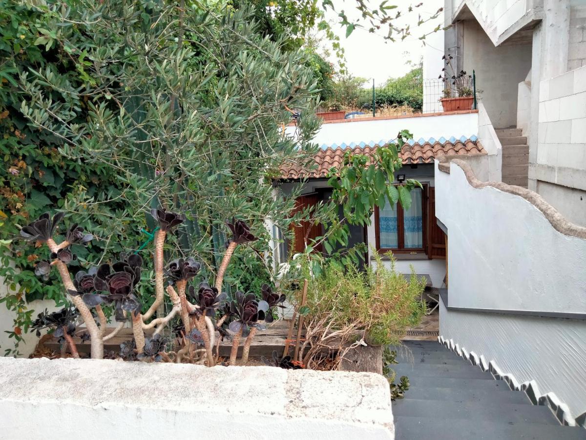 Apartmán Casa Rustica Dorgali Exteriér fotografie