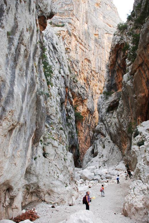 Apartmán Casa Rustica Dorgali Pokoj fotografie